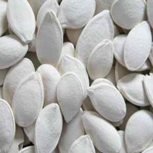 White Salted Pumpkin Seeds in Shell