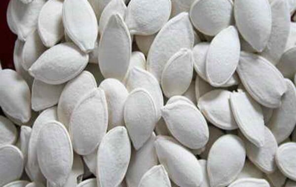 White Salted Pumpkin Seeds in Shell